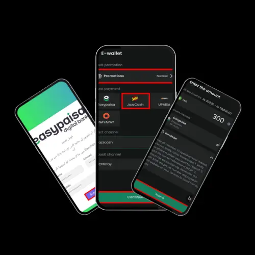 baji payment method